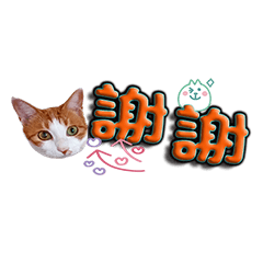Super cute cat stickers3