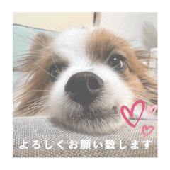 natsumi_20230330163106