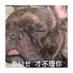 可愛的耶比比