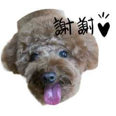 臭臭球2