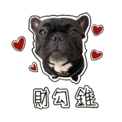 憨財很忙