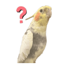 Sakura_20230330214418