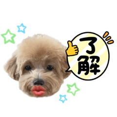 sayuri_20230331114719