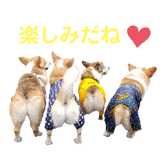 alice_20230330200331