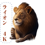 Lions 4K