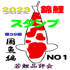 2023若鯉品評会 国魚編NO1