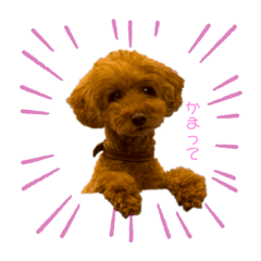 hana_20230330230554