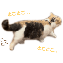 Yun_20230330221921