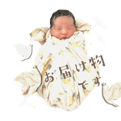 hana_20230331001701