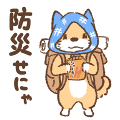 Kumamoto dialect Dog Kotaro 2