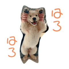 koto_20230331125635