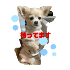 ayaka1216_20230331132014