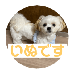 nozomi_20230331160343