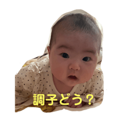 suzu_20230331182001