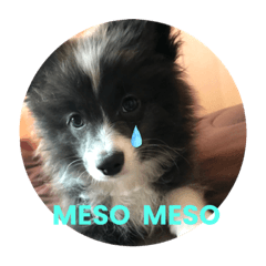 saori_20230331202309