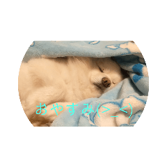 mIZUKI_20230331211511