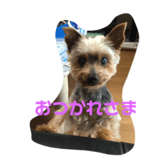 yuitan_20230331231320
