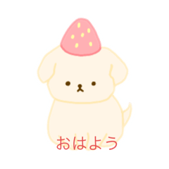 yuttyi_20230331210033