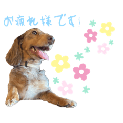 dan_20230401010334