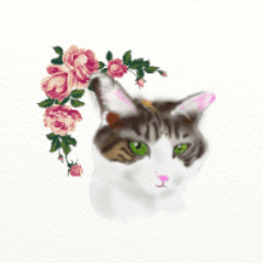 Happy life of Mikatan,a calico cat