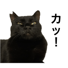 Totokichi and his happy friends ver3