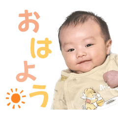 AOMUSHIkorokoro