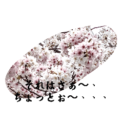 桜の画像スタンプ4