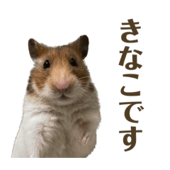 Arisa_20230331235811