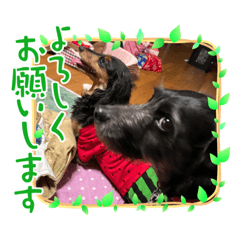nao_20230331235717