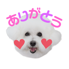 sayuri_20230401113404