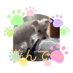 NAO_20230401092607
