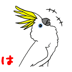 Animated Sulphur-crested Cockatoo