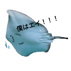 sunny_20230331220723