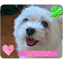 R IK I_20230401125222