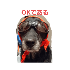 sakura_20230331230153