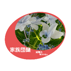 Suzu_20230401075834