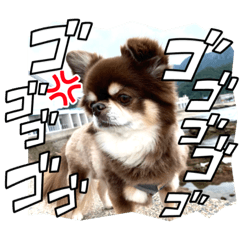 manmaru_20230401142141