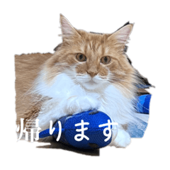 mizuki_20230401175455