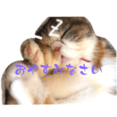 omg_20230401175627