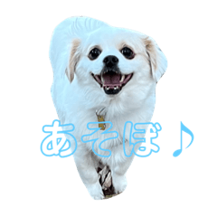 omochi_20230401