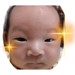 sakura_20230401165706