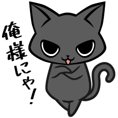 NEW!oresama black cat