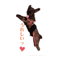 sakura_20230401204017