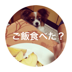 hikaru_20230401192434