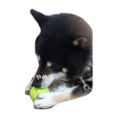 kana_20230401224224