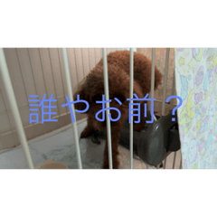 kanakanayeah