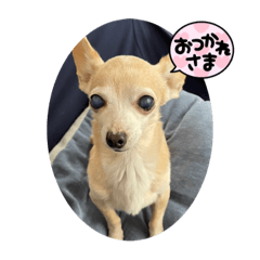 icchan_20230401173452