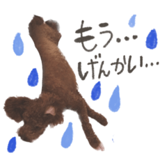 Suzu_20230401230206