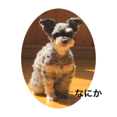 yuka_20230401230737