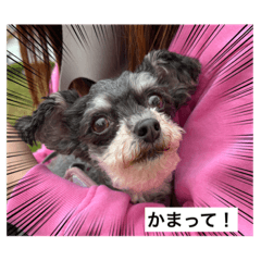 yuka_20230401231310